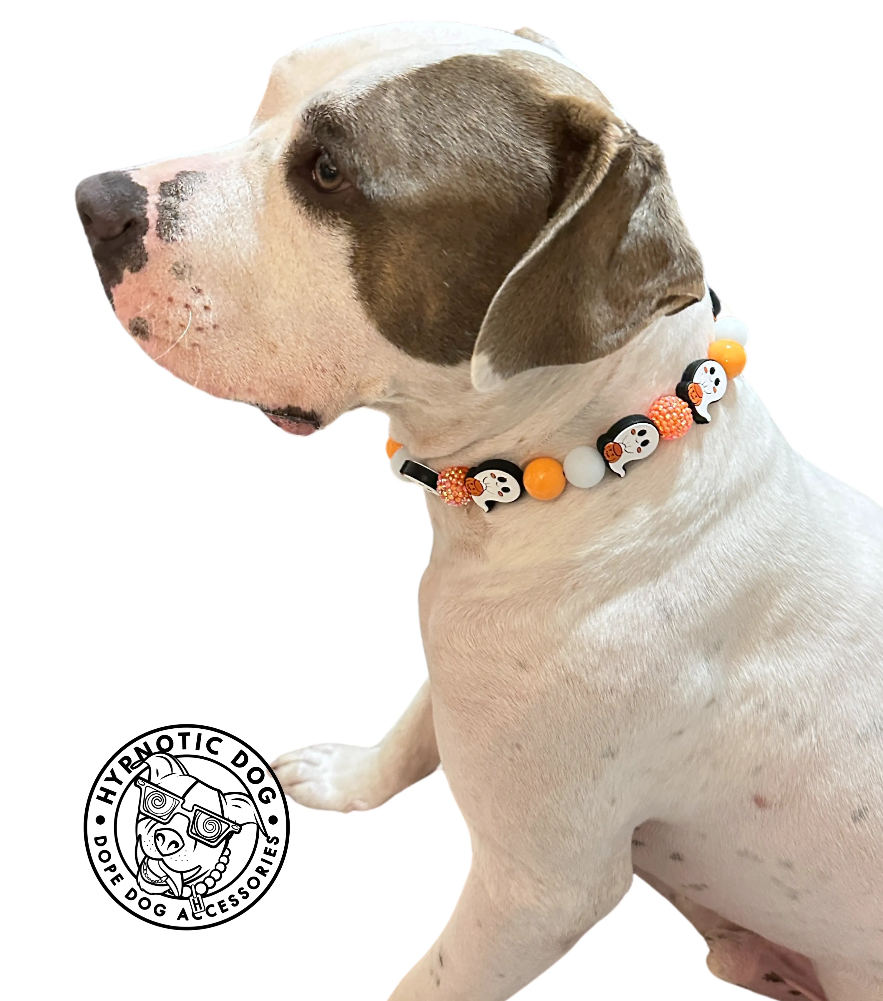 🟧 16.5" Slip On (Black O-Ring) Boo 👻 Halloween Glow Bead Collar - PRE-MADE/FINAL SALE