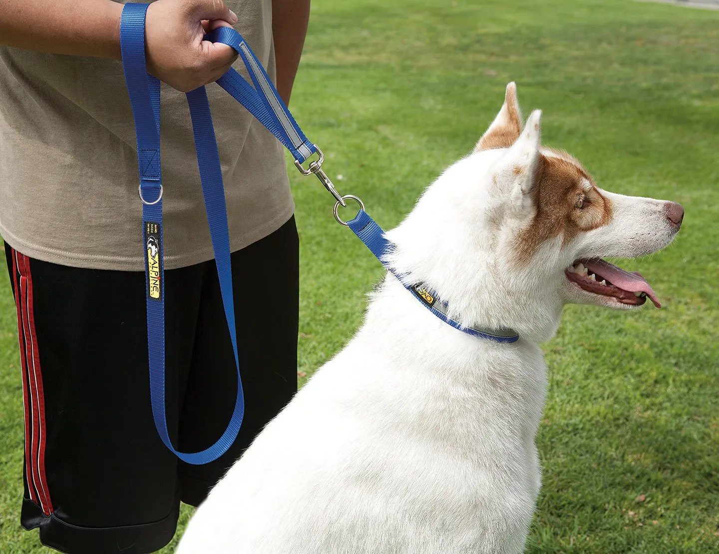 5FT URBAN TRAIL® WALKING LEASHES (1 & 3/4 INCH)