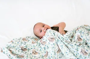 BEAR KNIT BLANKET SINGLE