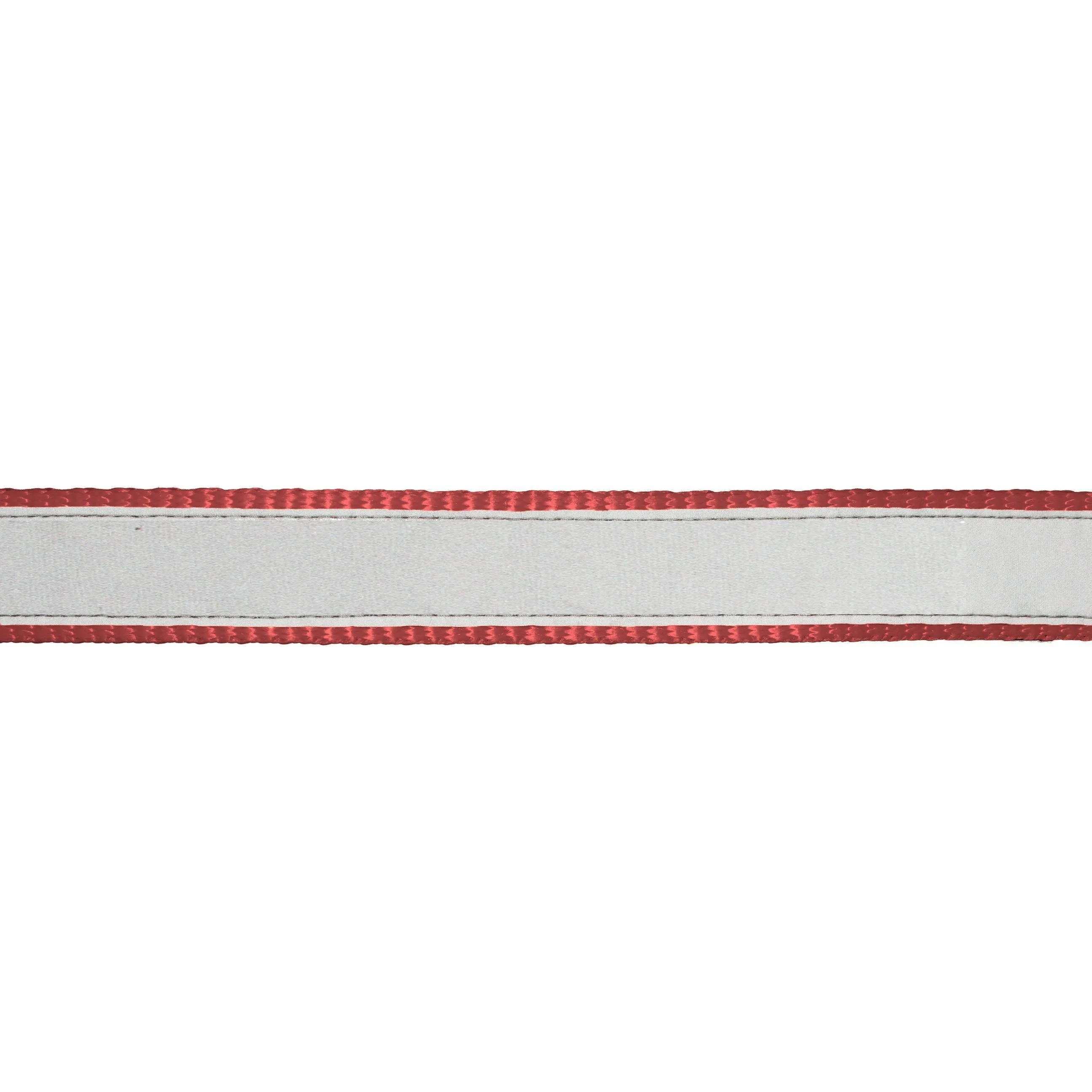 Customize Reflective Nylon Adjustable Collar for Dogs