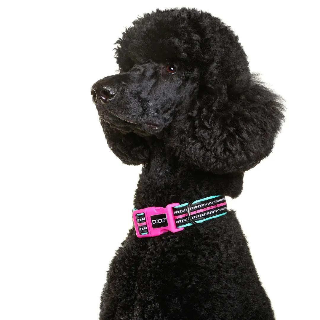 DOOG Neoprene Rin Tin Tin Neon Teal and Pink Dog Collar Medium