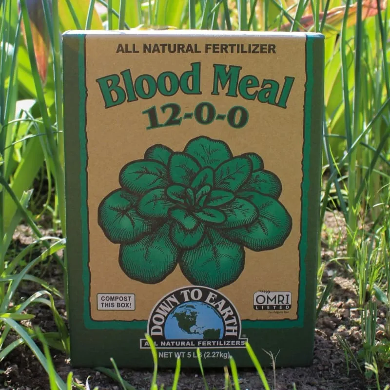 Down to Earth Blood Meal - NPK 12-0-0 (5 LB)