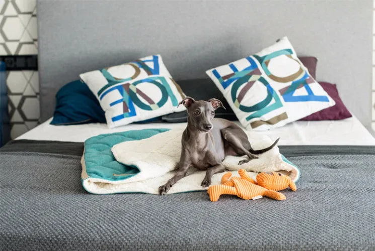 Dreamy Bed Silver