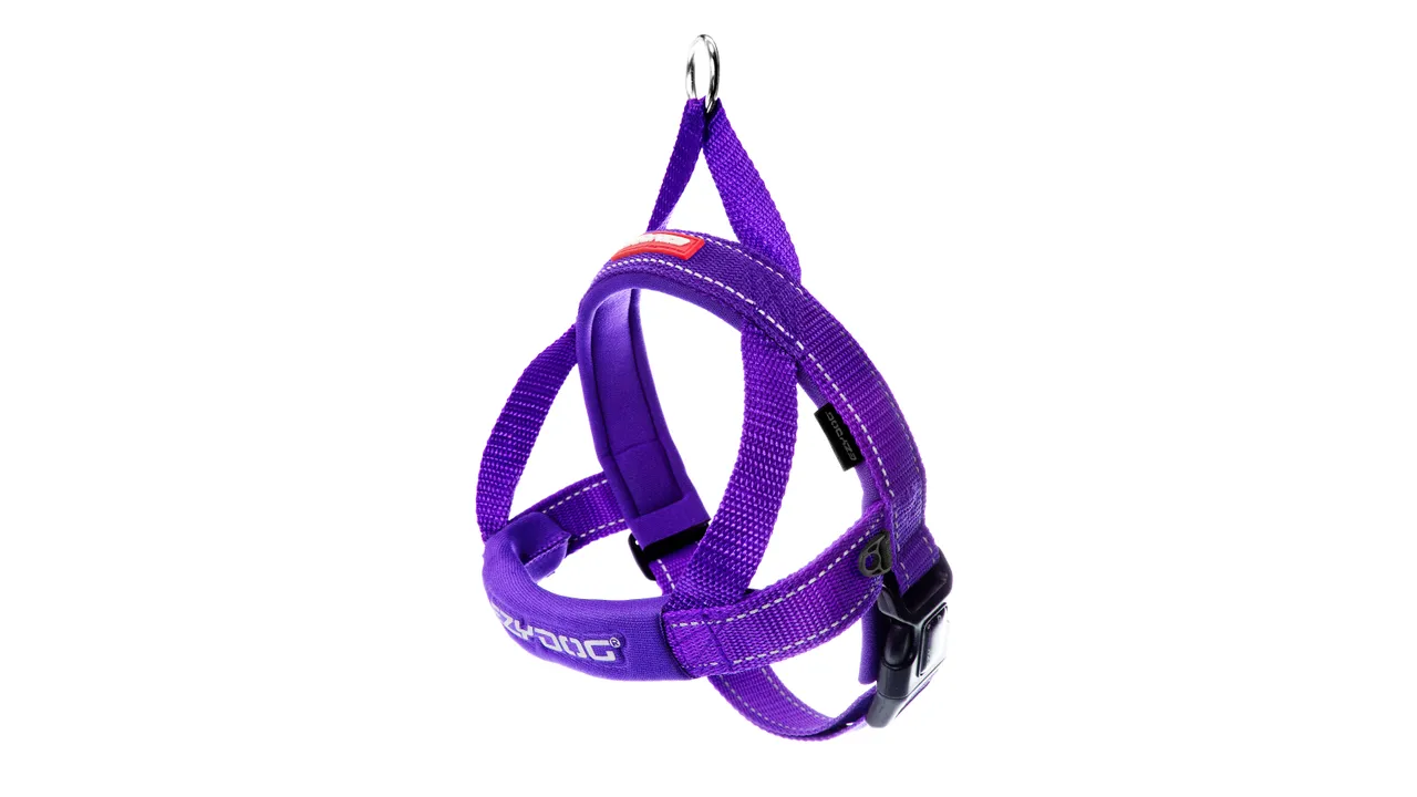 EzyDog Quick Fit Harness Purple