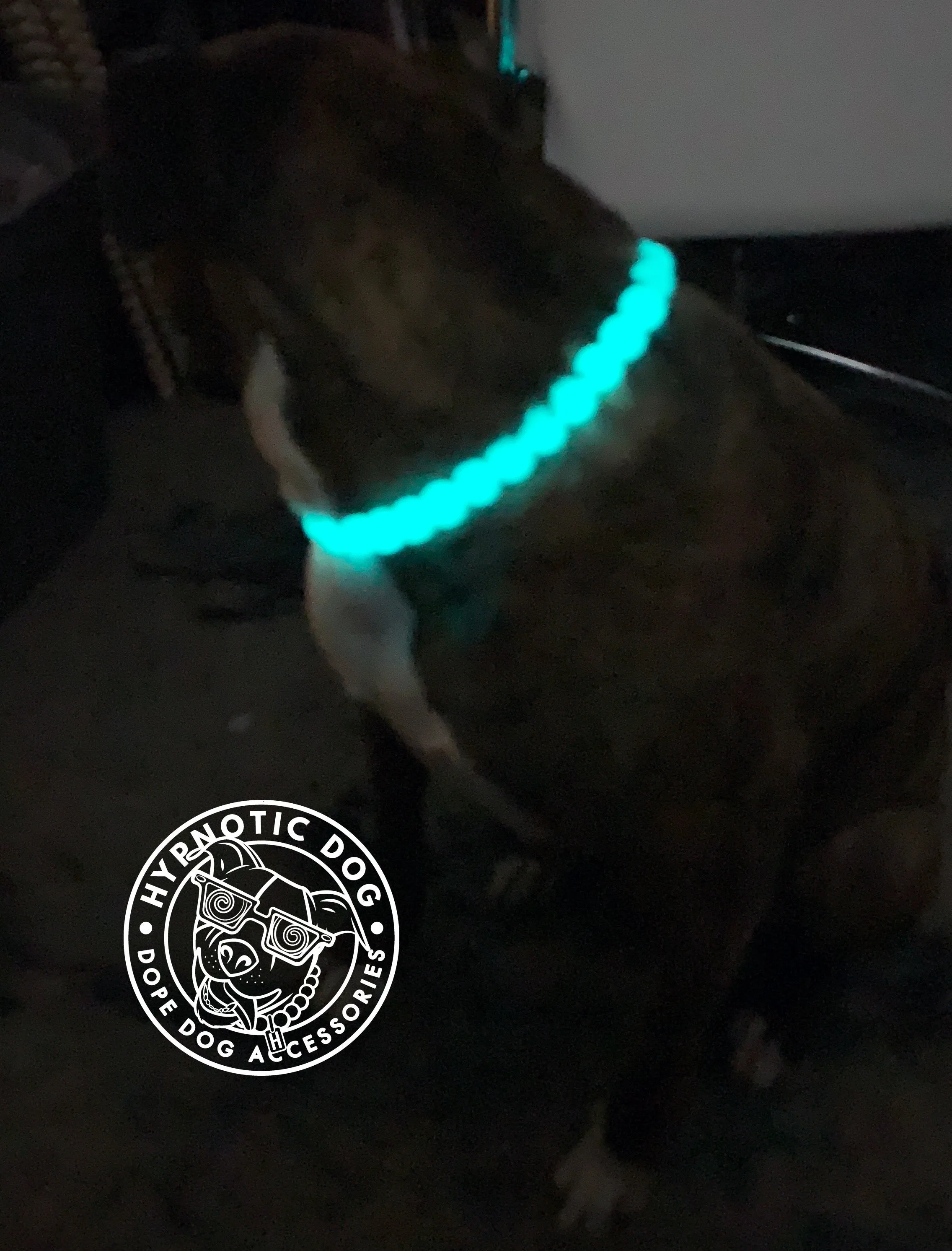 GLOW Glacial Green Glow in the Dark Stone Bead Collar