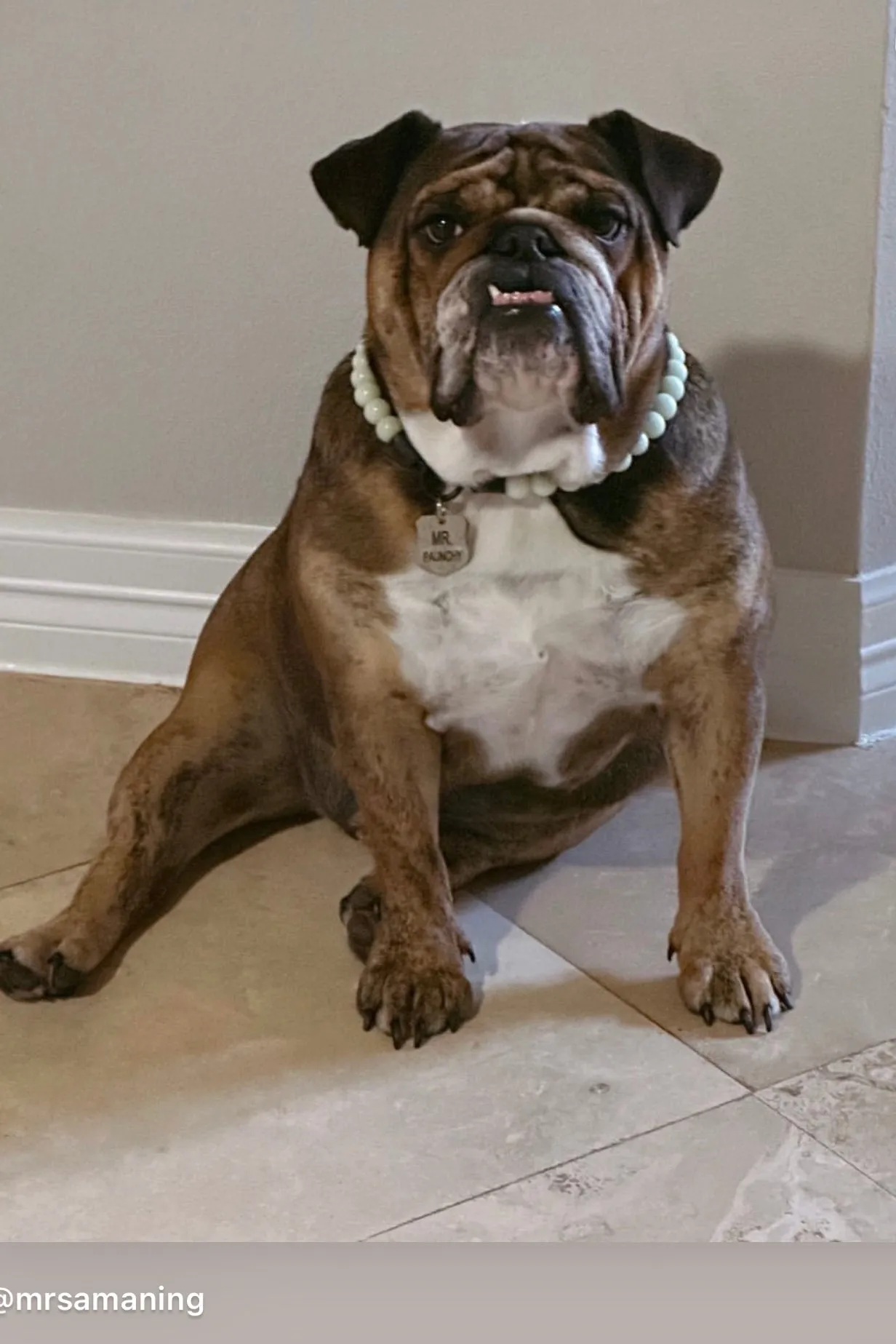 GLOW Glacial Green Glow in the Dark Stone Bead Collar