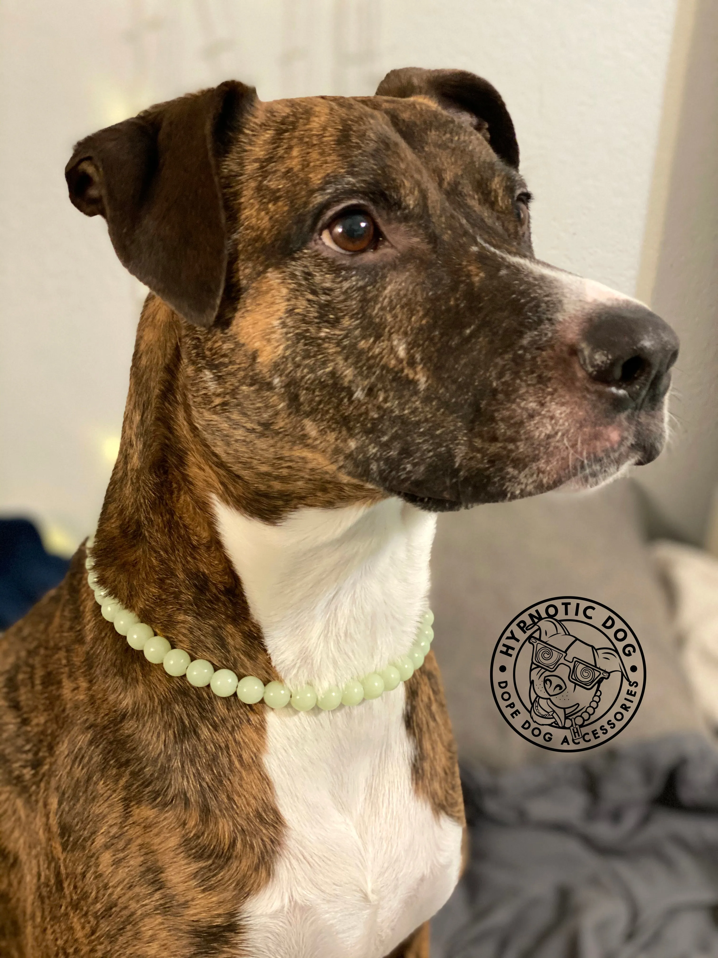 Green Glow in the Dark XS Bead Collar
