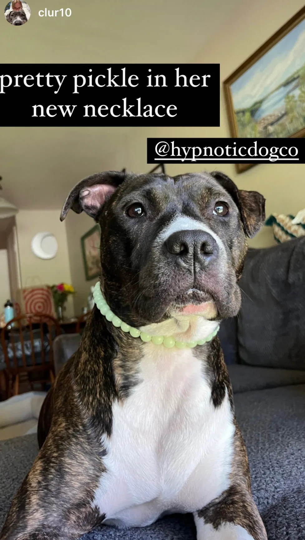 Green Glow in the Dark XS Bead Collar