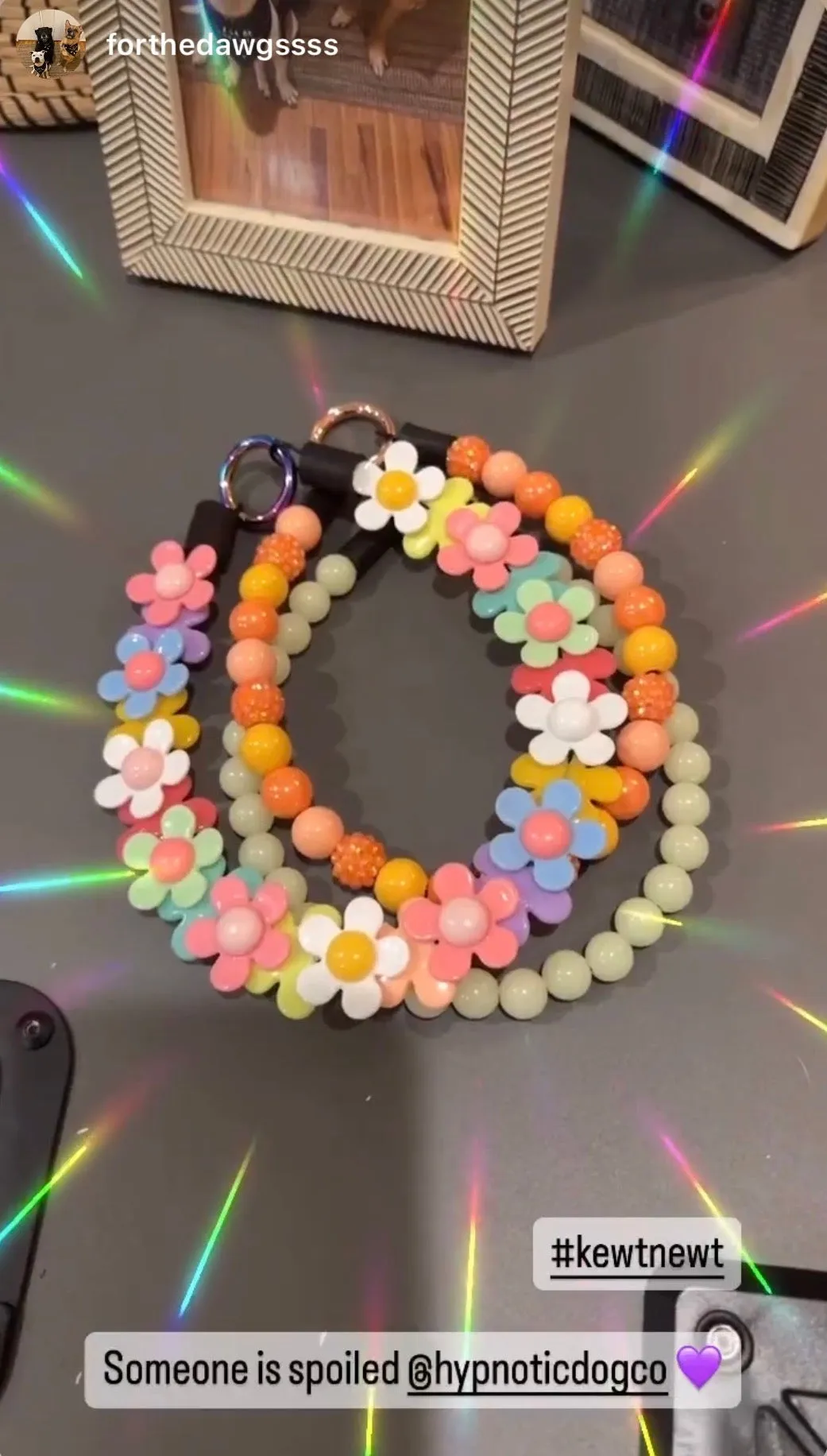 Green Glow in the Dark XS Bead Collar