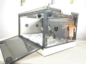Incubator for Newborn Puppies and Kittens I  Nebulized Oxygen Intensive Care Unit for Dogs and Cats I Pet incubator With Nebulization Kit