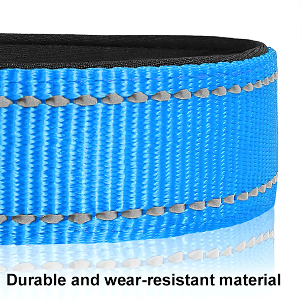 JOYTALE ReflectiPet™ Reflective Nylon Dog Collar