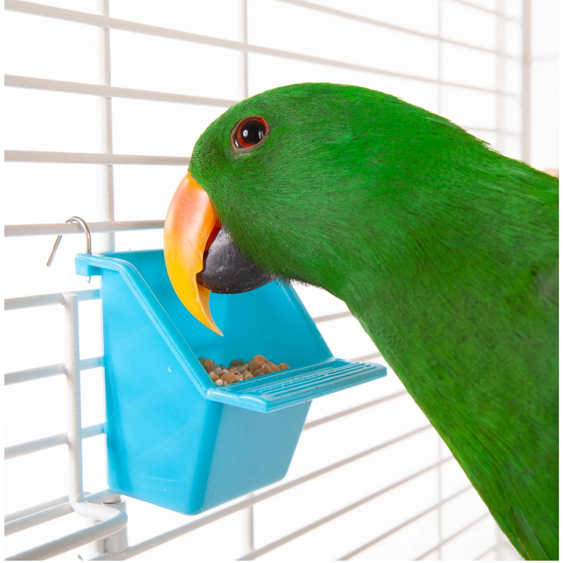Kazoo Bird Feeder Rectangle Small 2 Pack