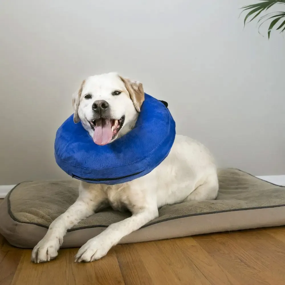 Kong Cloud Collar L (EL1)