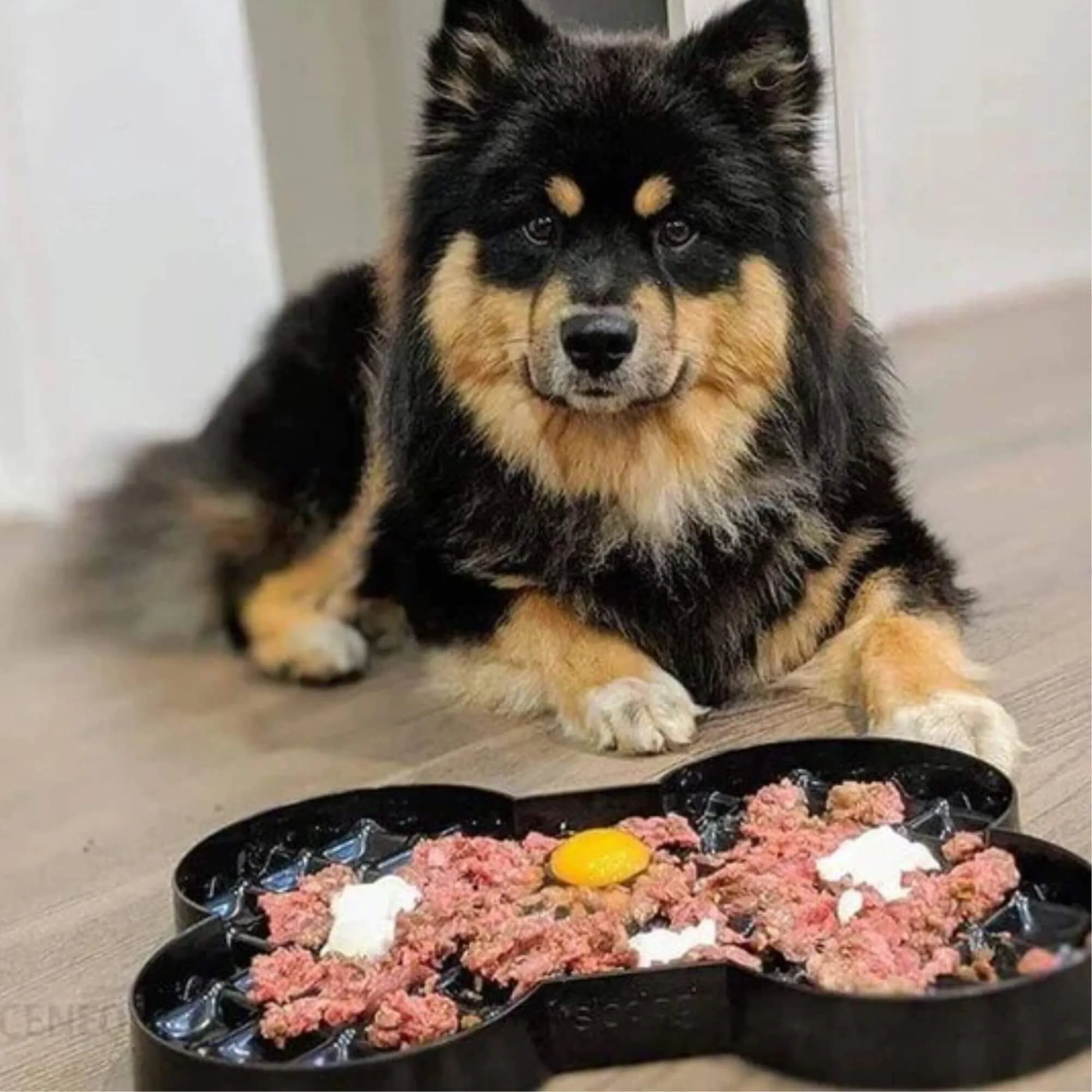 LickiMat Slodog Slow Feeder Plate for Dogs