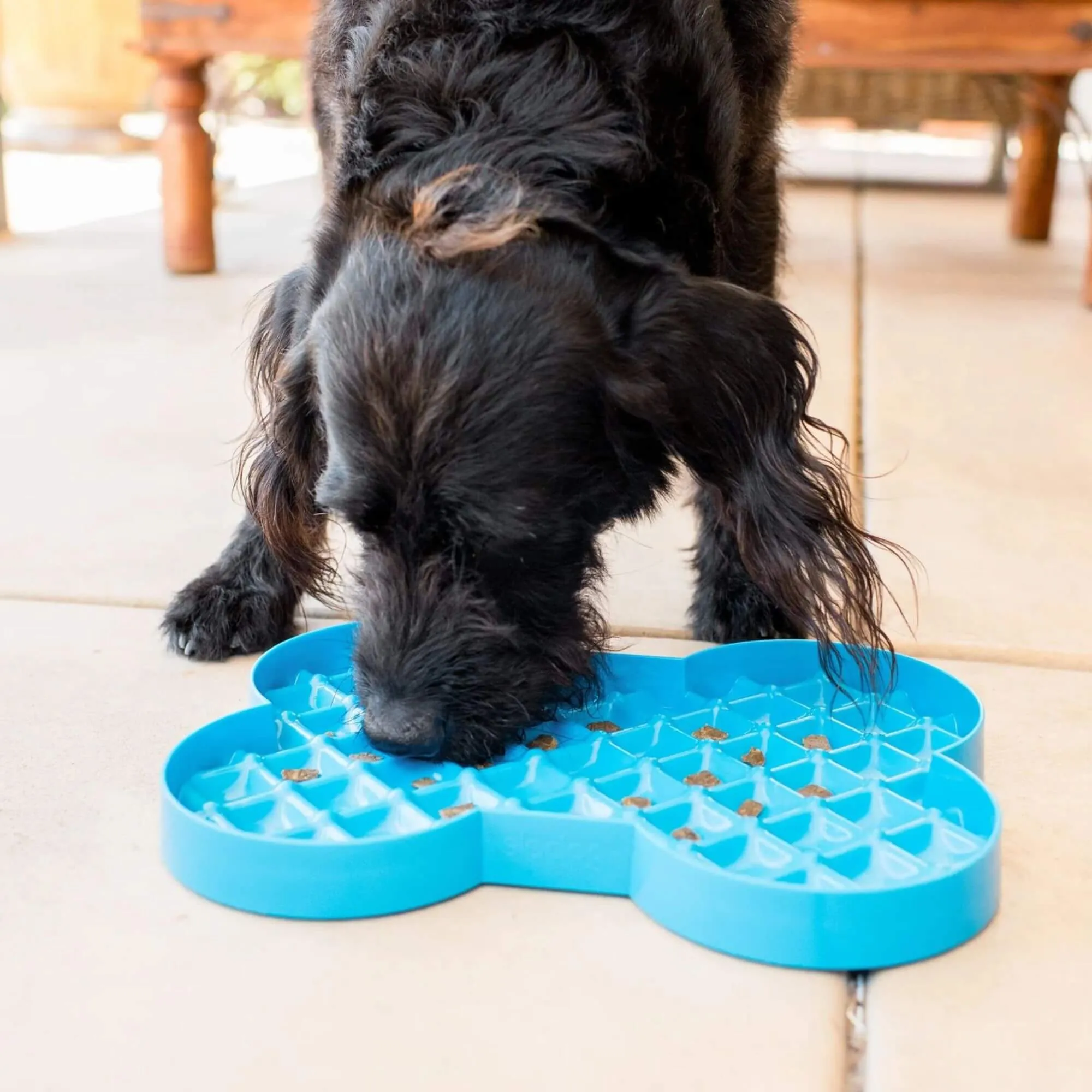 LickiMat Slodog Slow Feeder Plate for Dogs