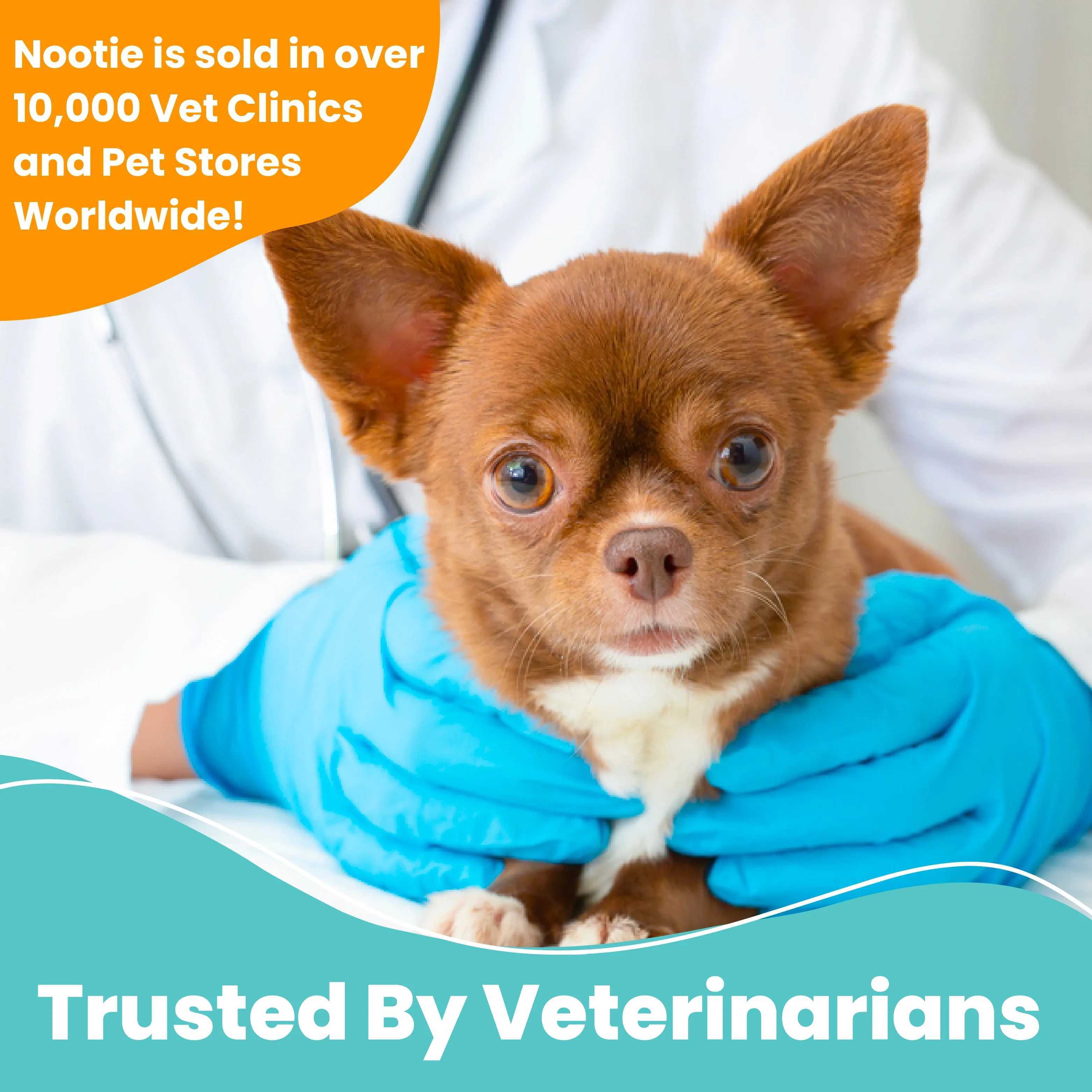 Medicated Pet Wipes | 60 Pads - Antifungal & Antibacterial