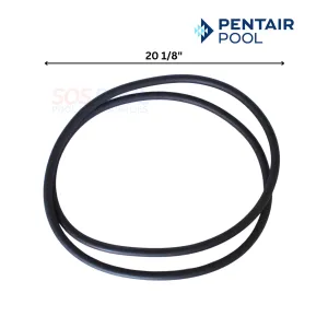 Pentair Tank O-Ring For Quad DE FNS Plus and Clean and Clear Plus Filters | 39010200