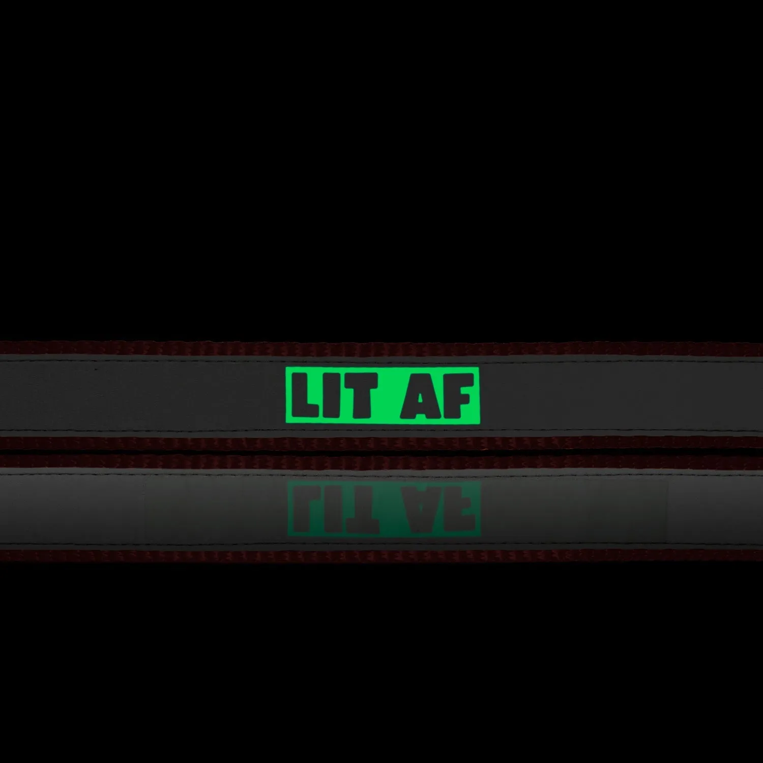 "Lit AF" Night Glow Printed Reflective Nylon Neck Belt Collar for Dogs