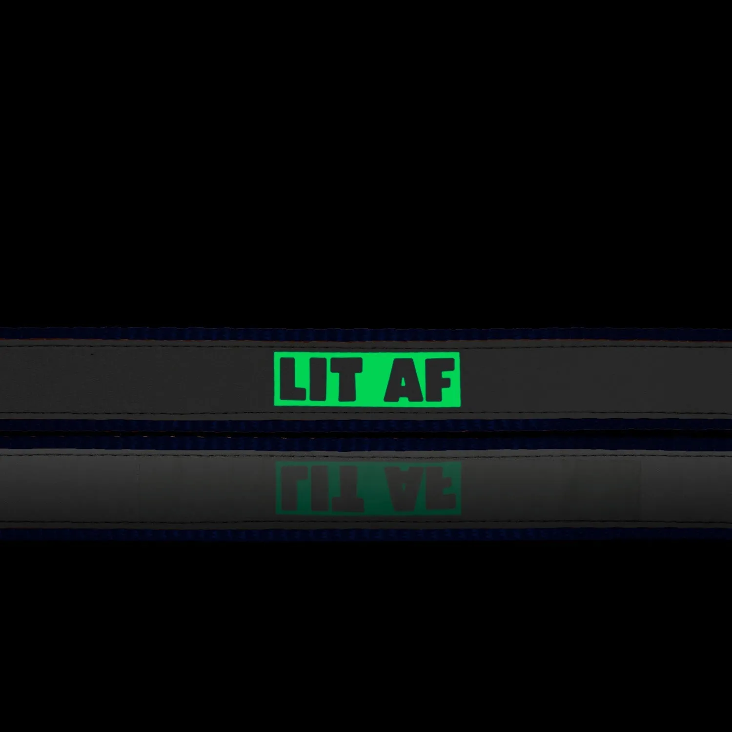 "Lit AF" Night Glow Printed Reflective Nylon Neck Belt Collar for Dogs