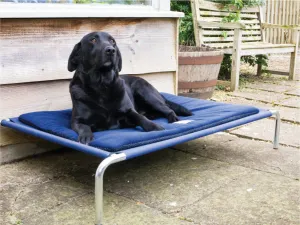 Raised Dog Beds
