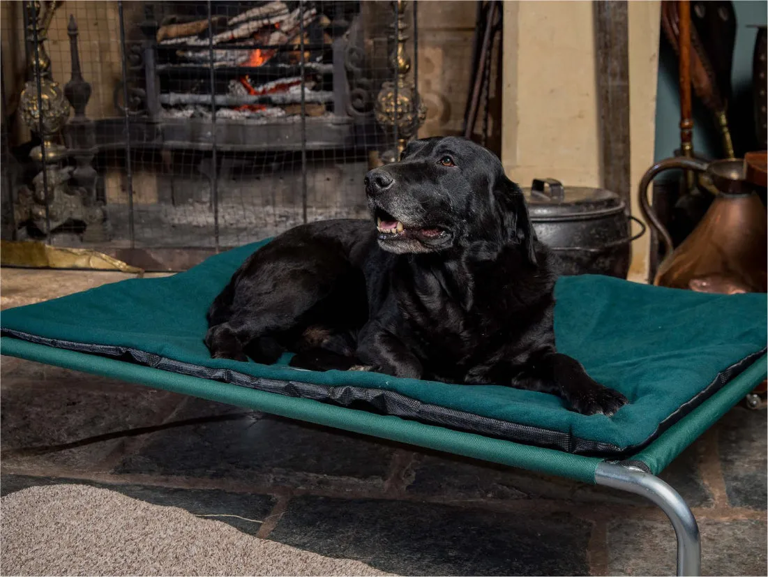 Raised Dog Beds