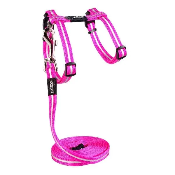 Rogz AlleyCat Harness & Lead Set