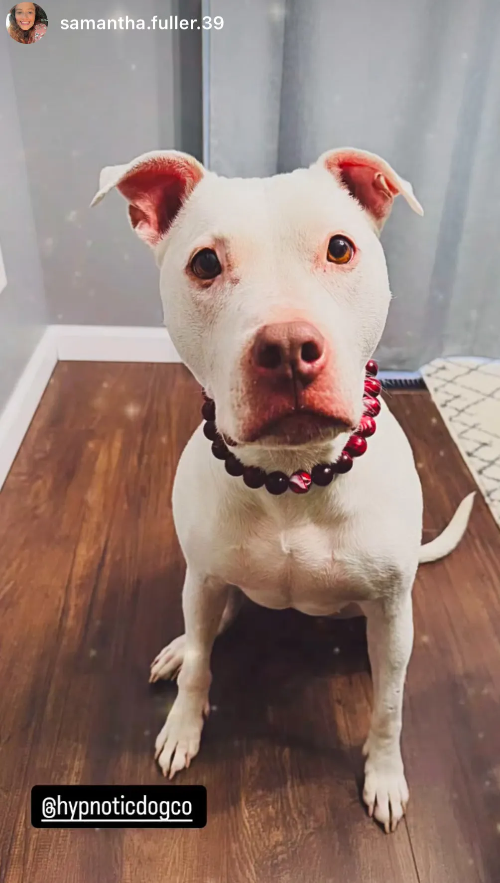 Ruby Smoke Acrylic Bead Collar