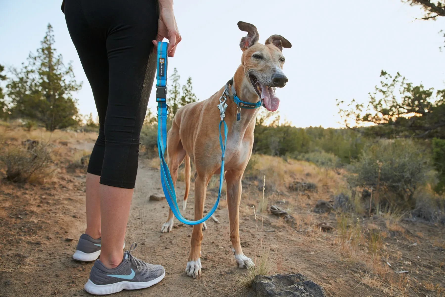 Ruffwear Crag™ Reflective & Multi-Use Dog Leash (Cindercone Red)