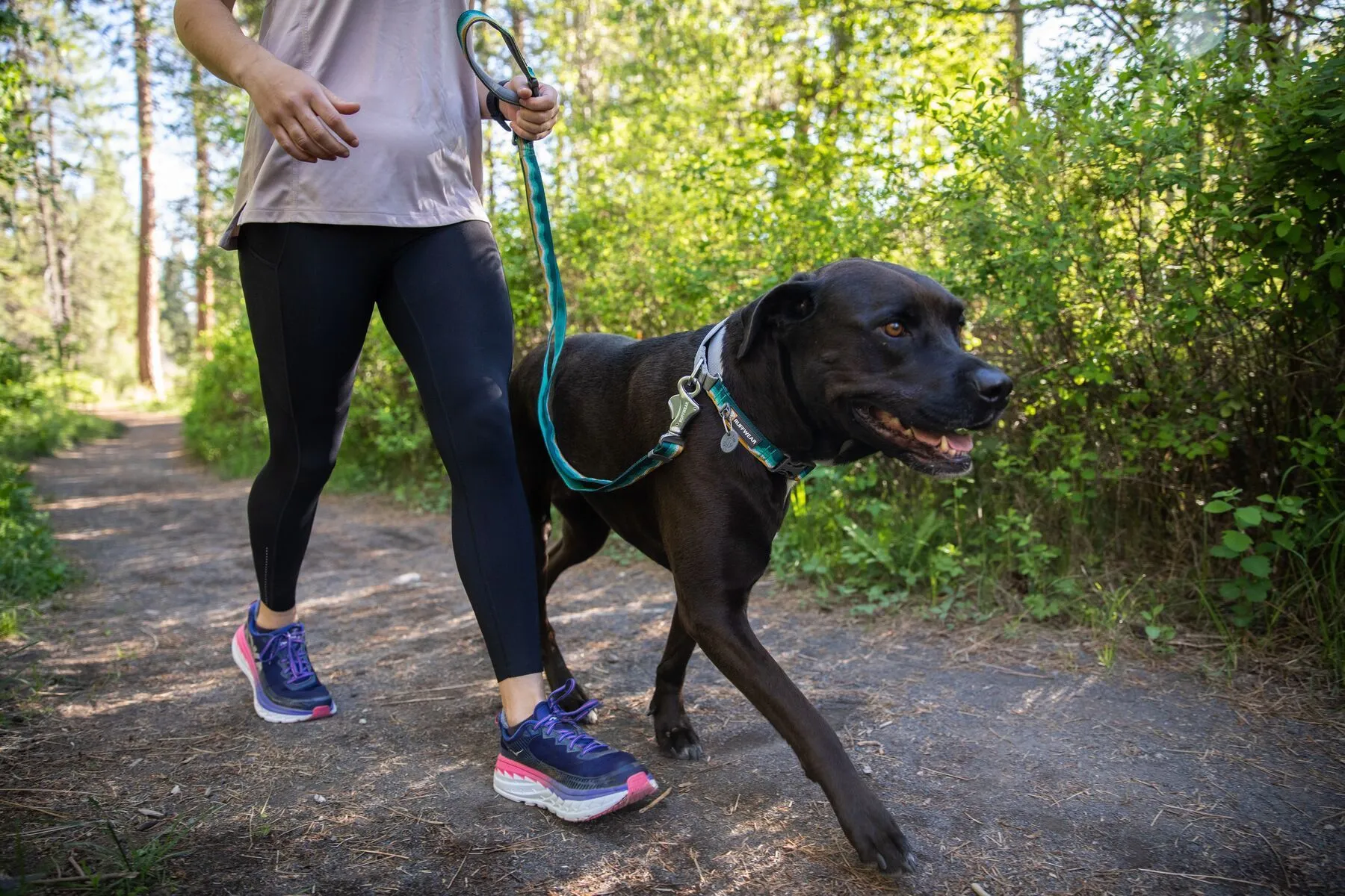 Ruffwear Crag™ Reflective & Multi-Use Dog Leash (Cindercone Red)